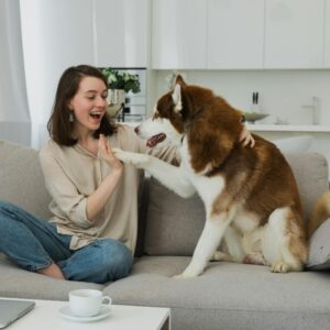 Konsultacje behawioralne psów